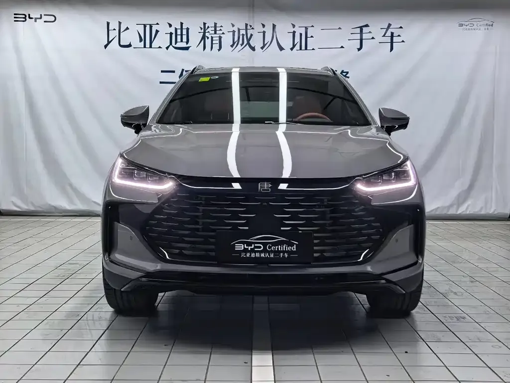 BYD Tang New Energy — фото 3