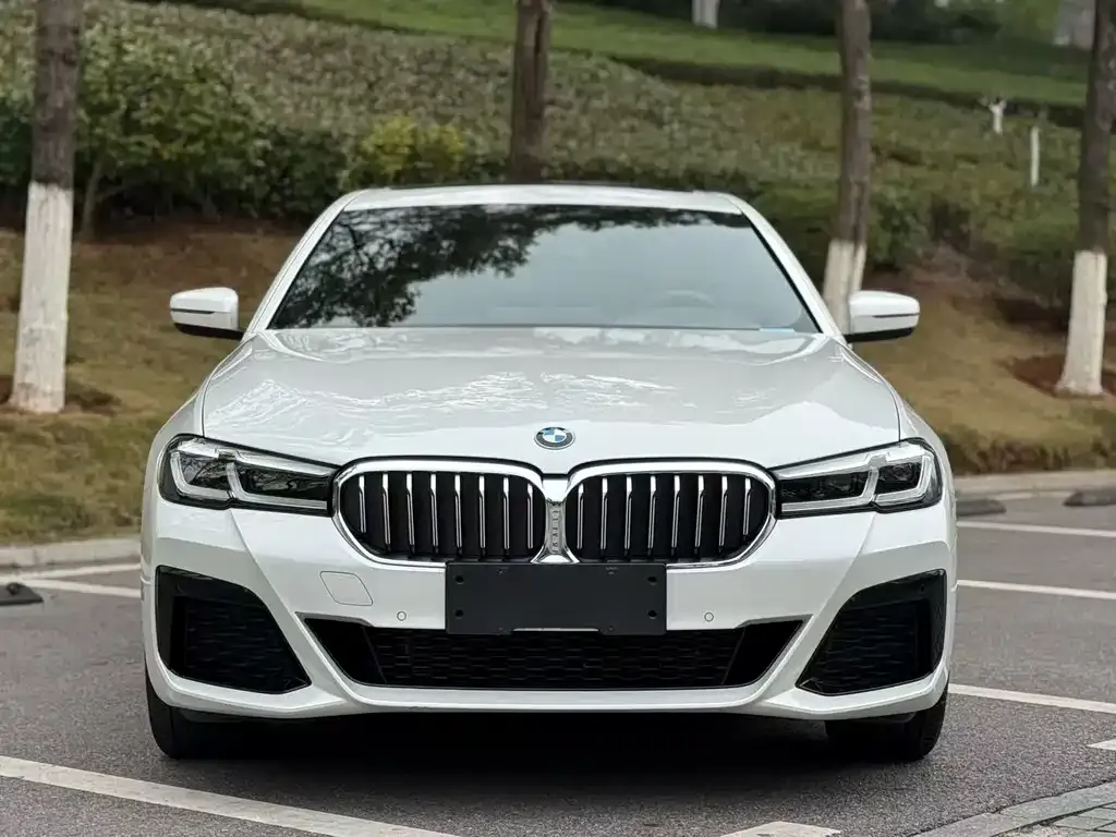 BMW 5 Series — фото 4
