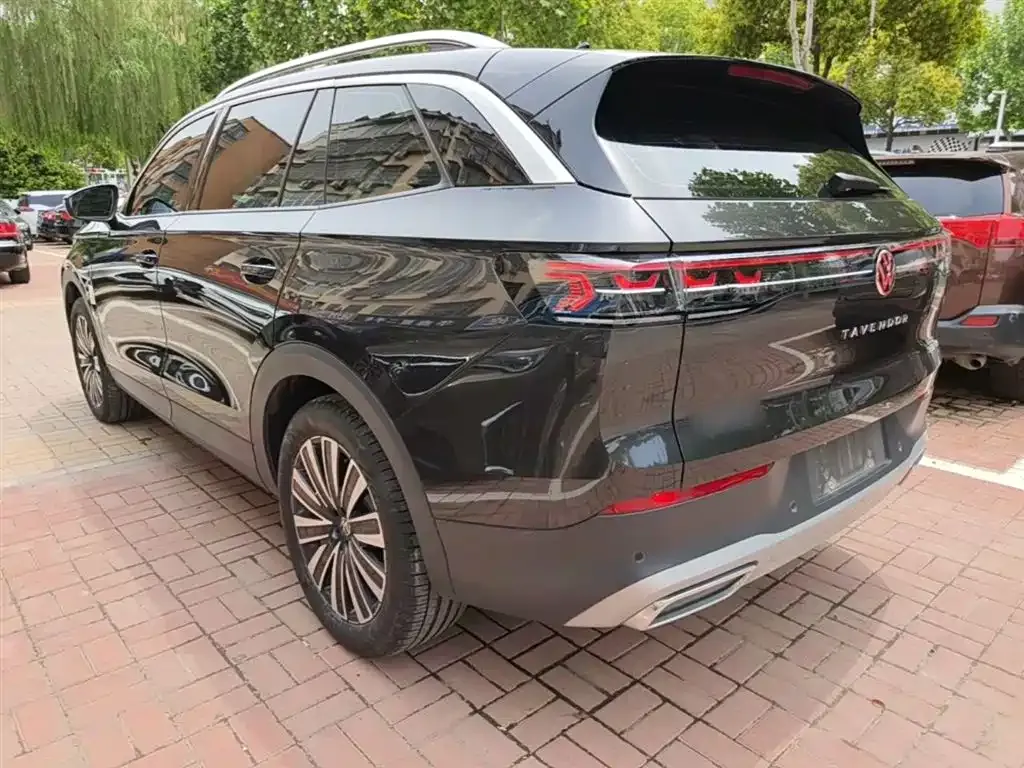 Volkswagen Tavendor 2023 из CN, фото 6