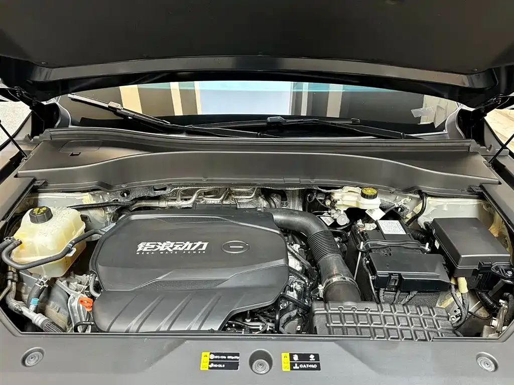 GAC Motor Trumpchi GS8 2024 из CN, фото 6
