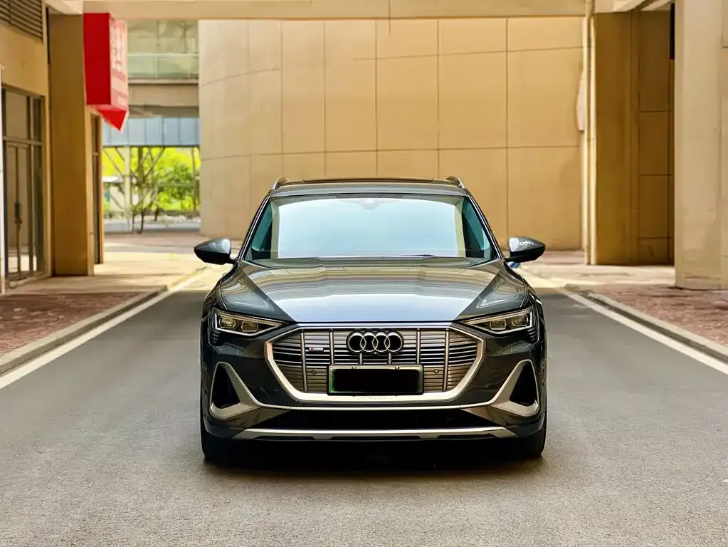 Audi e-tron 2022 из CN, фото 10