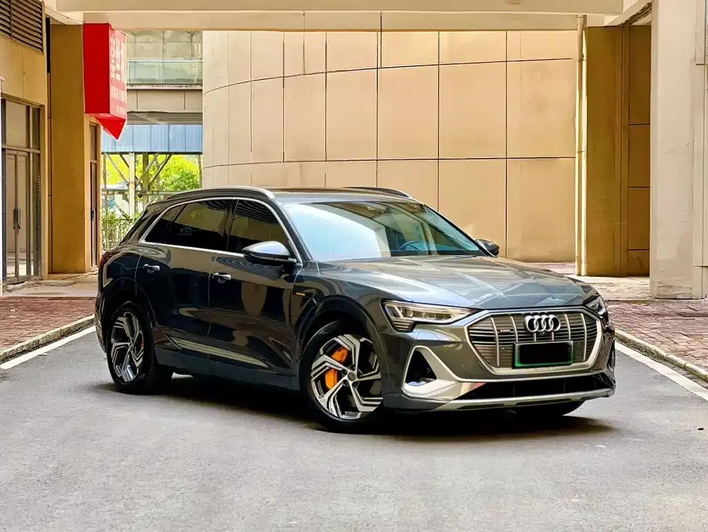 Audi e-tron 2022 из CN, фото 4