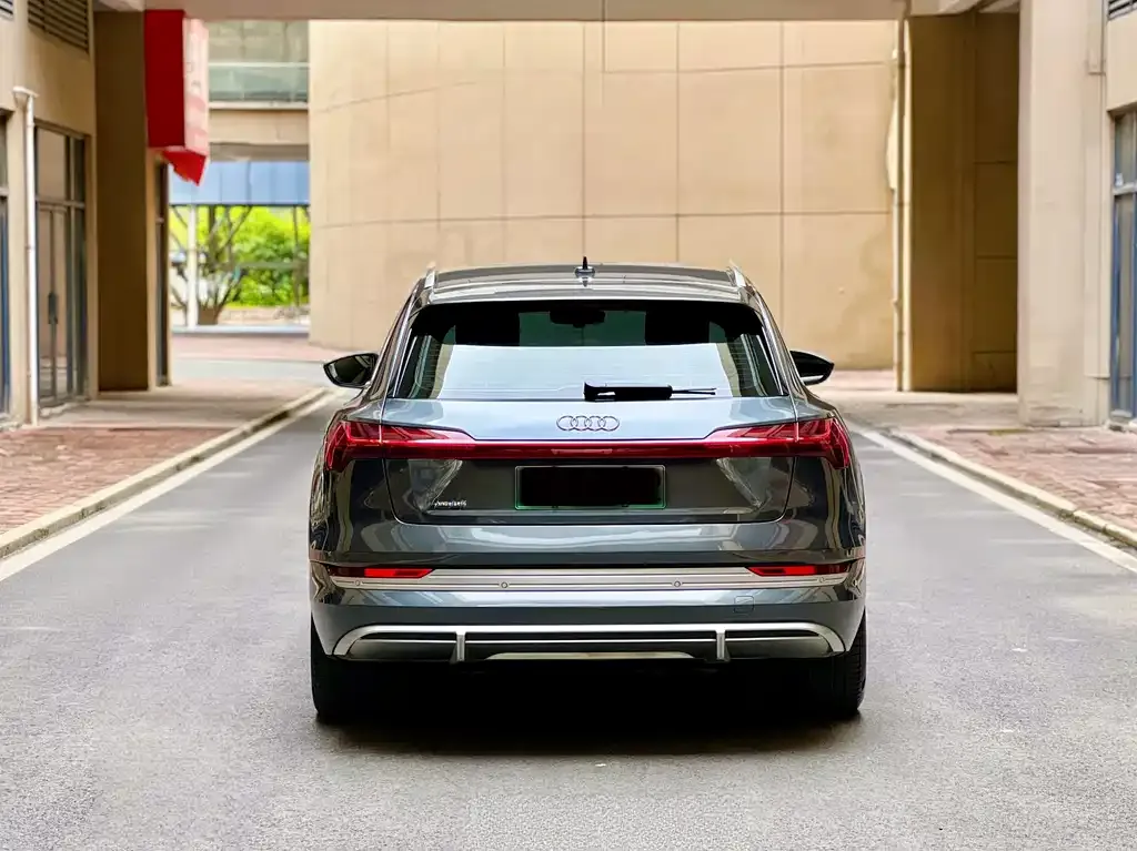 Audi e-tron 2022 из CN, фото 9