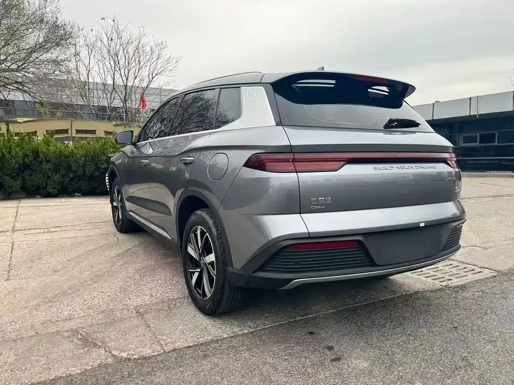 BYD Pro New Energy 2024 из CN, фото 9