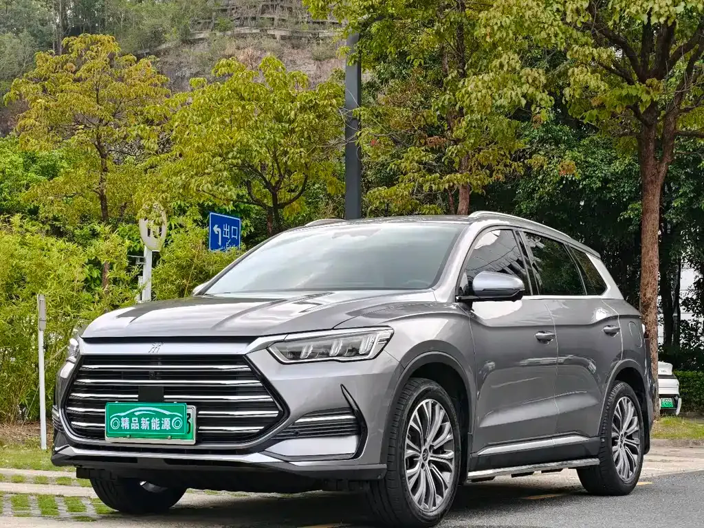 BYD Pro New Energy
