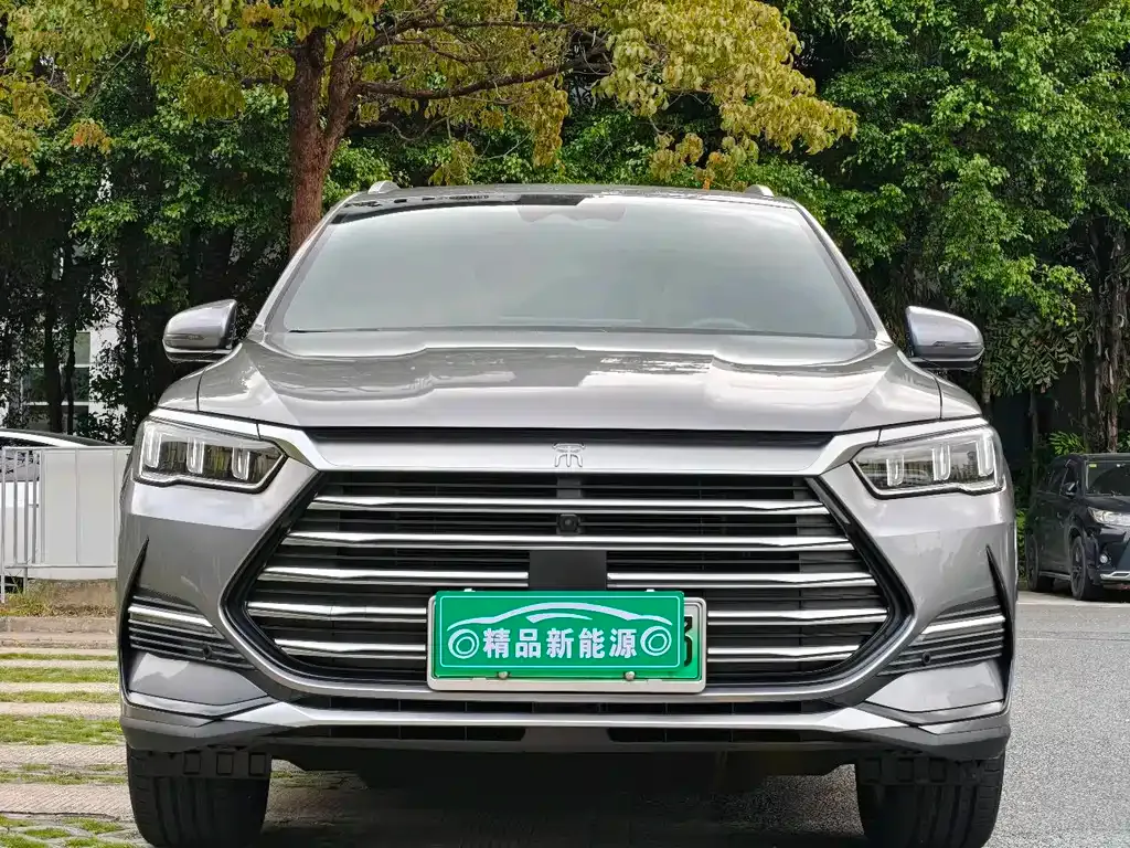 BYD Pro New Energy 2023 из CN, фото 7