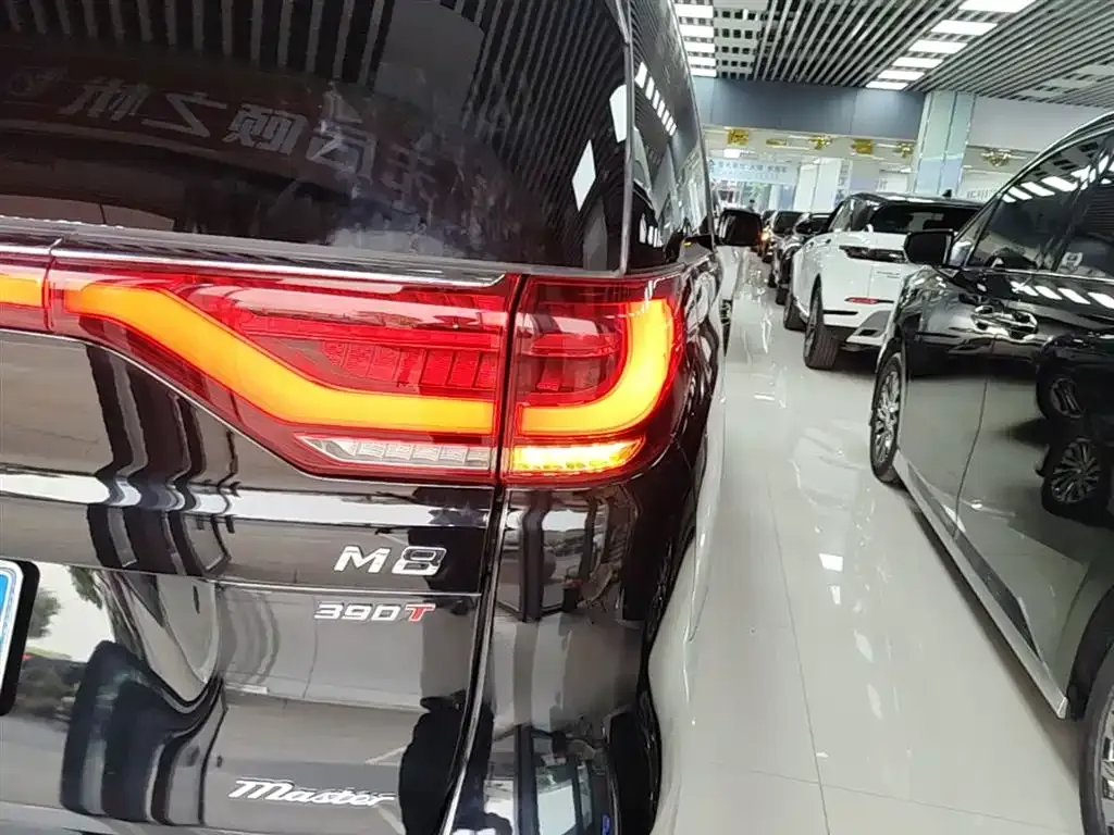 GAC Motor Trumpchi M8 2022 из CN, фото 3