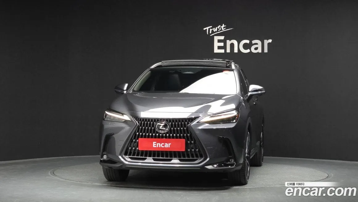 Lexus NX 2025 из KR, фото 9