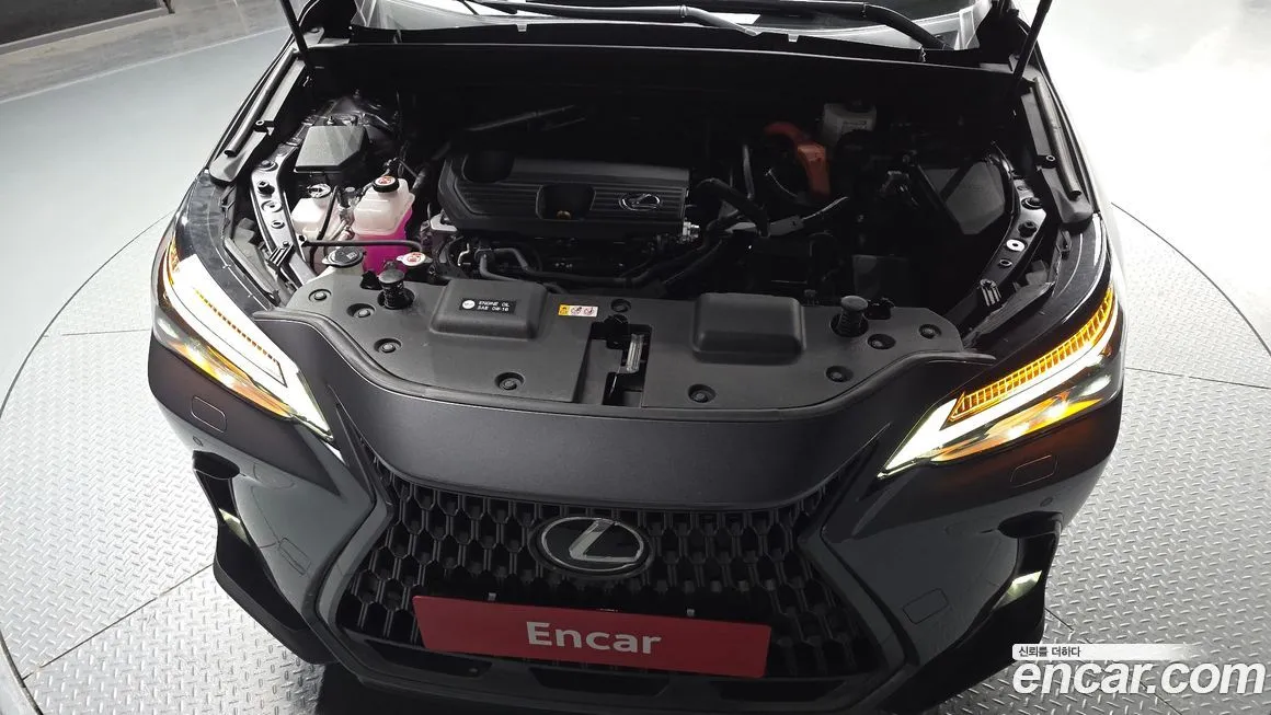 Lexus NX 2025 из KR, фото 10
