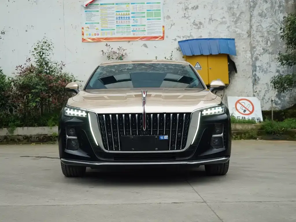 Hongqi H5 2024 из CN, фото 6