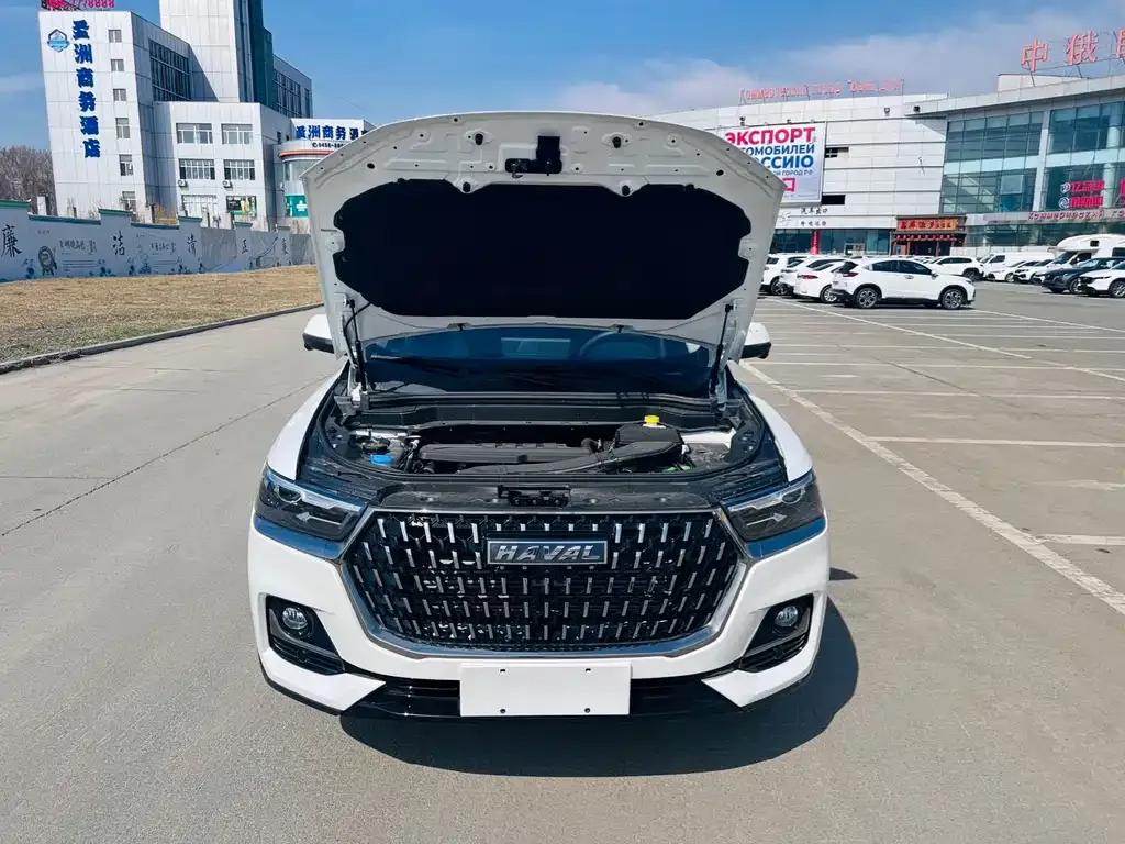 Haval H6 2023 из CN, фото 5