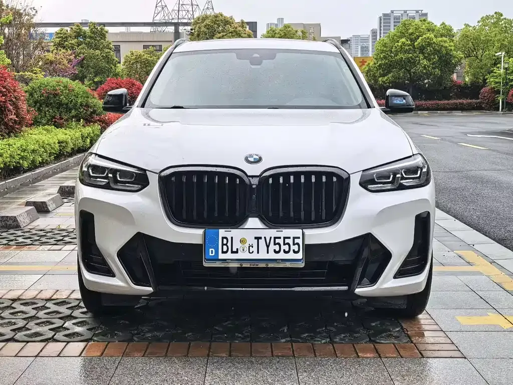 BMW X3 2022 из CN, фото 6