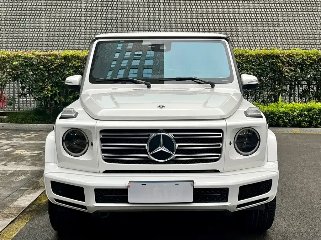 Mercedes-Benz G-Class 2021 из CN, фото 9