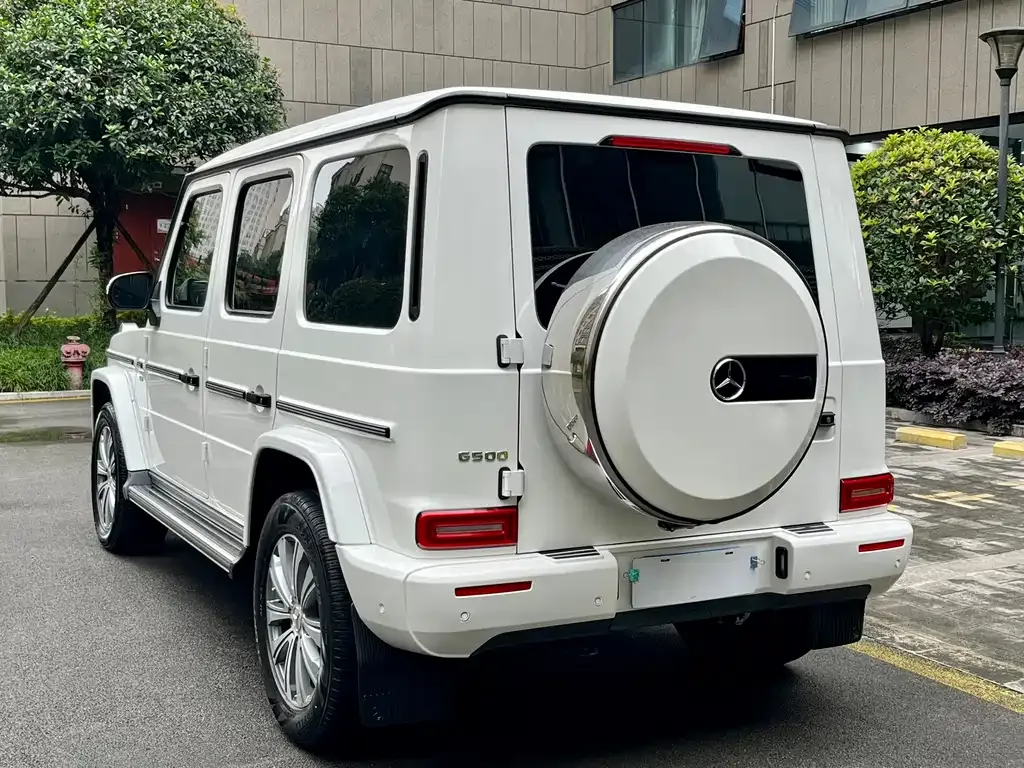 Mercedes-Benz G-Class 2021 из CN, фото 7