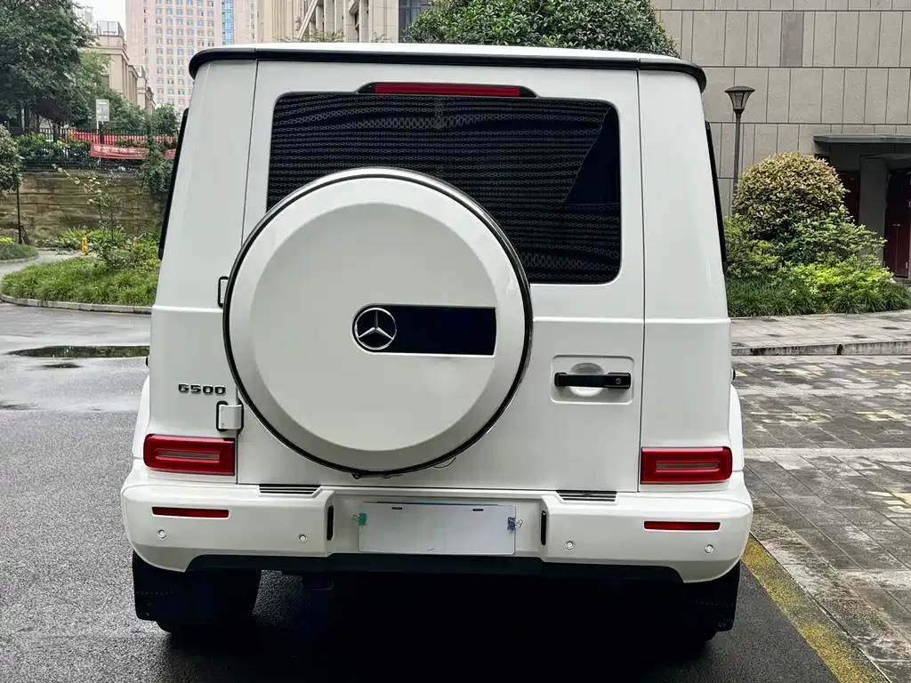 Mercedes-Benz G-Class 2021 из CN, фото 2