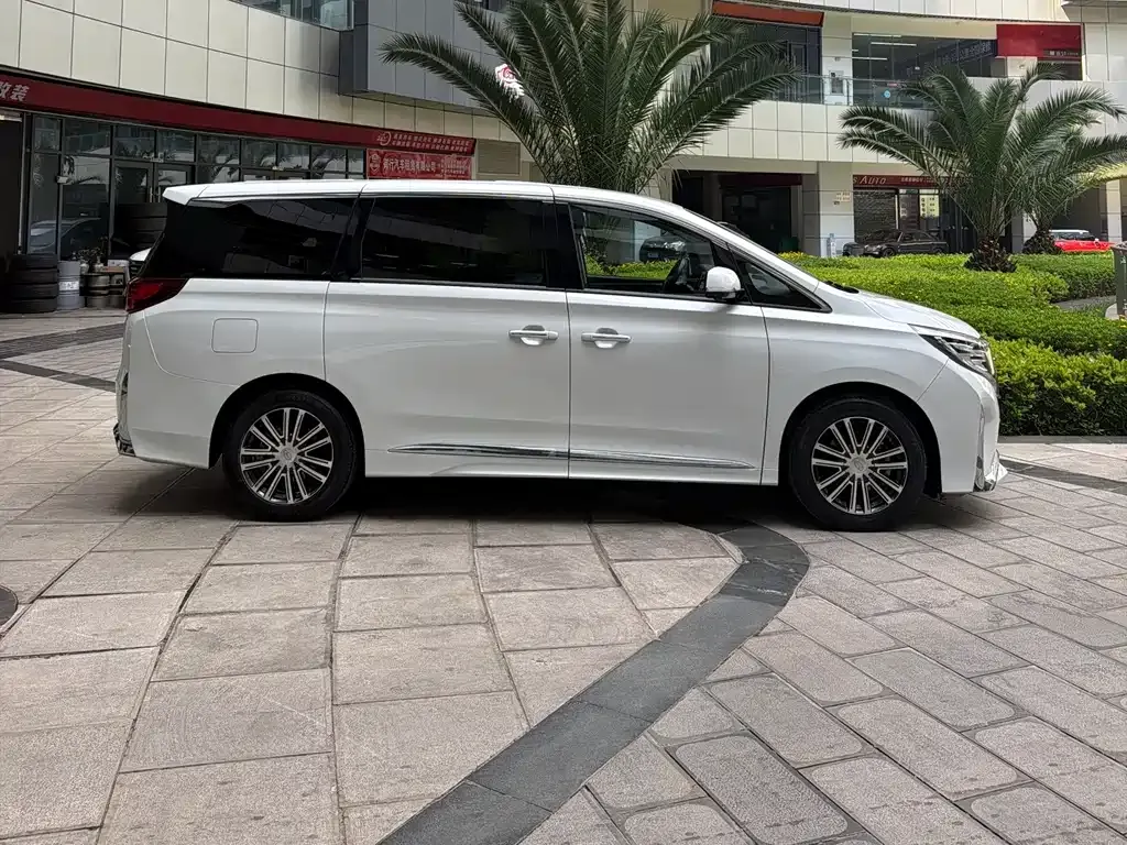 GAC Motor Trumpchi M8 2023 из CN, фото 10