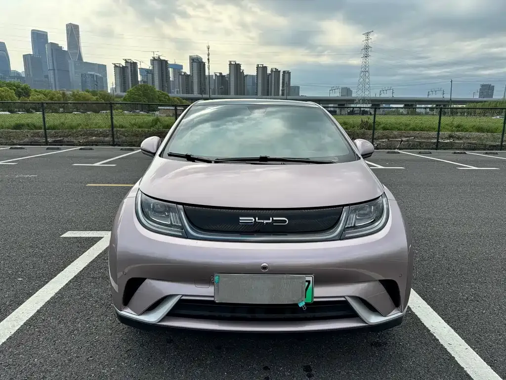 BYD Dolphin 2024 из CN, фото 9