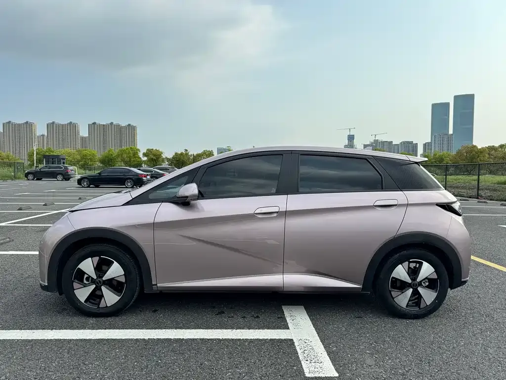 BYD Dolphin 2024 из CN, фото 4
