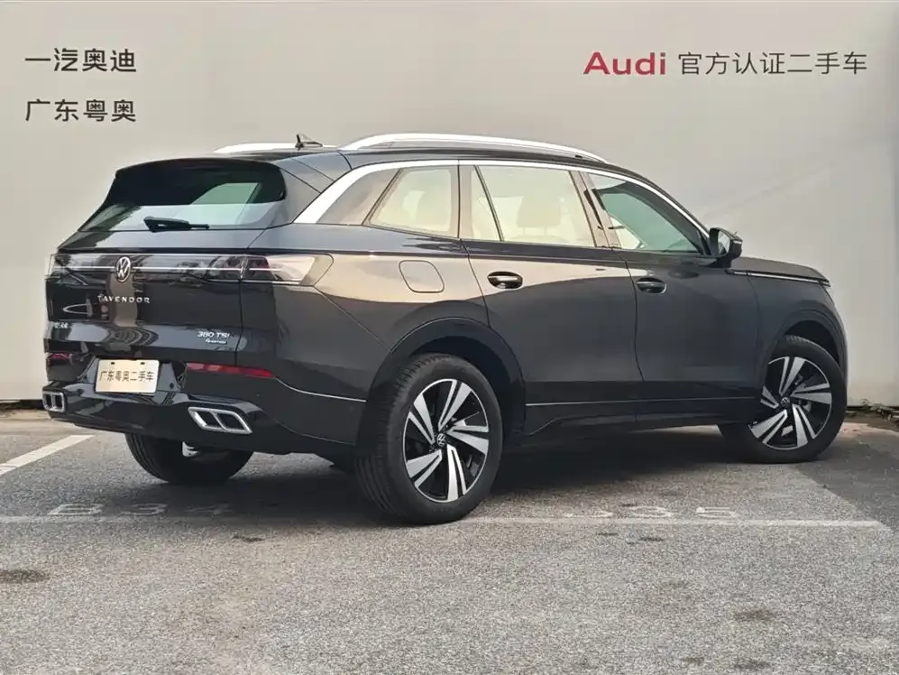 Volkswagen Tavendor 2024 из CN, фото 7