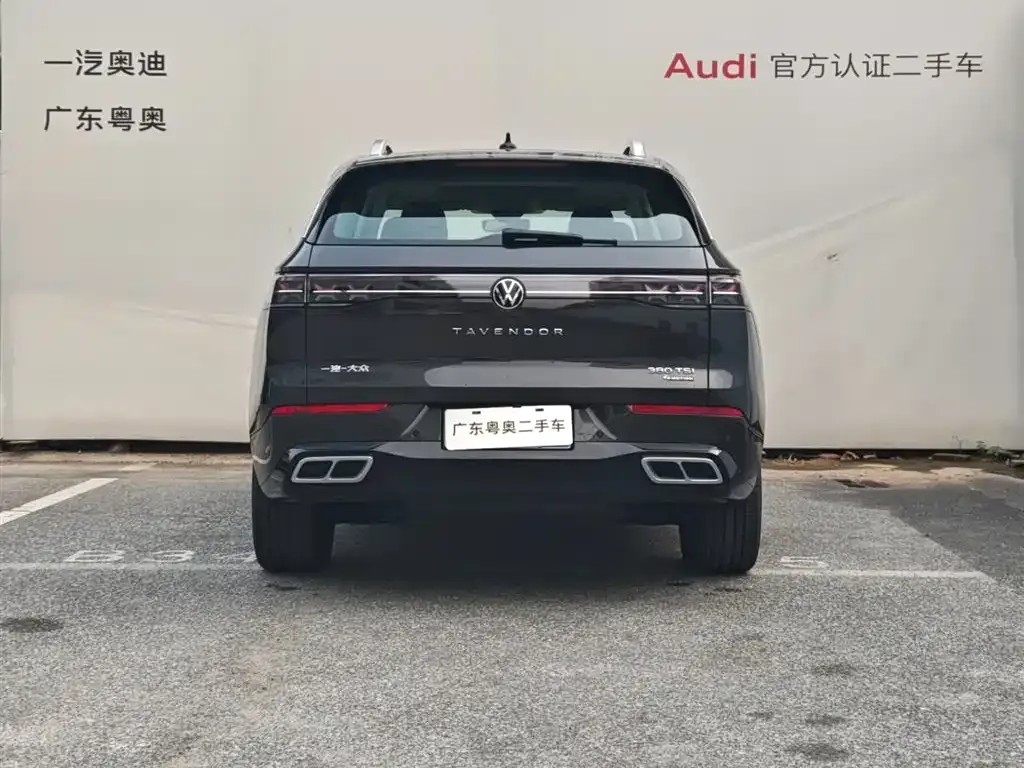 Volkswagen Tavendor 2024 из CN, фото 2