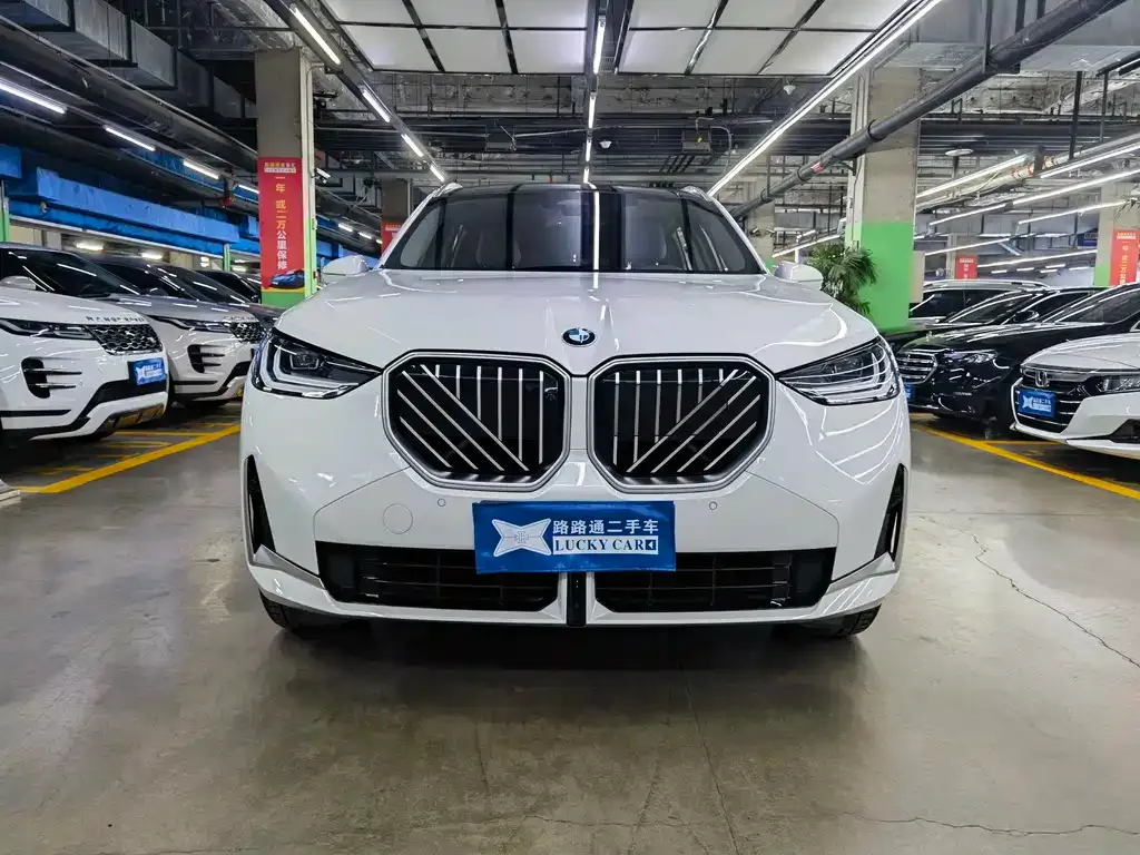 BMW X3 2025 из CN, фото 10