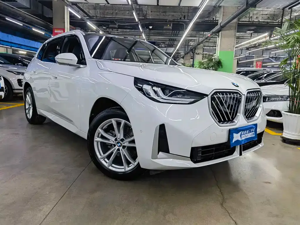 BMW X3 2025 из CN, фото 3