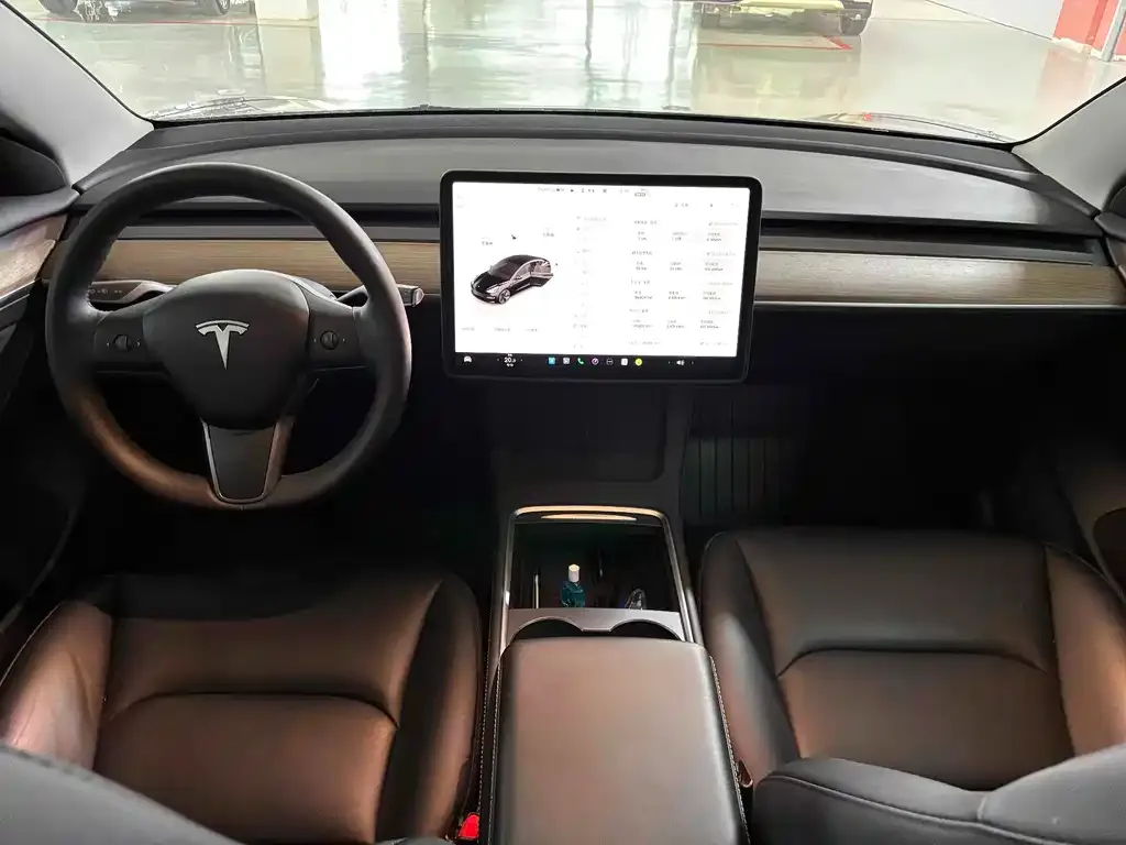 Tesla Model 3 2023 из CN, фото 2