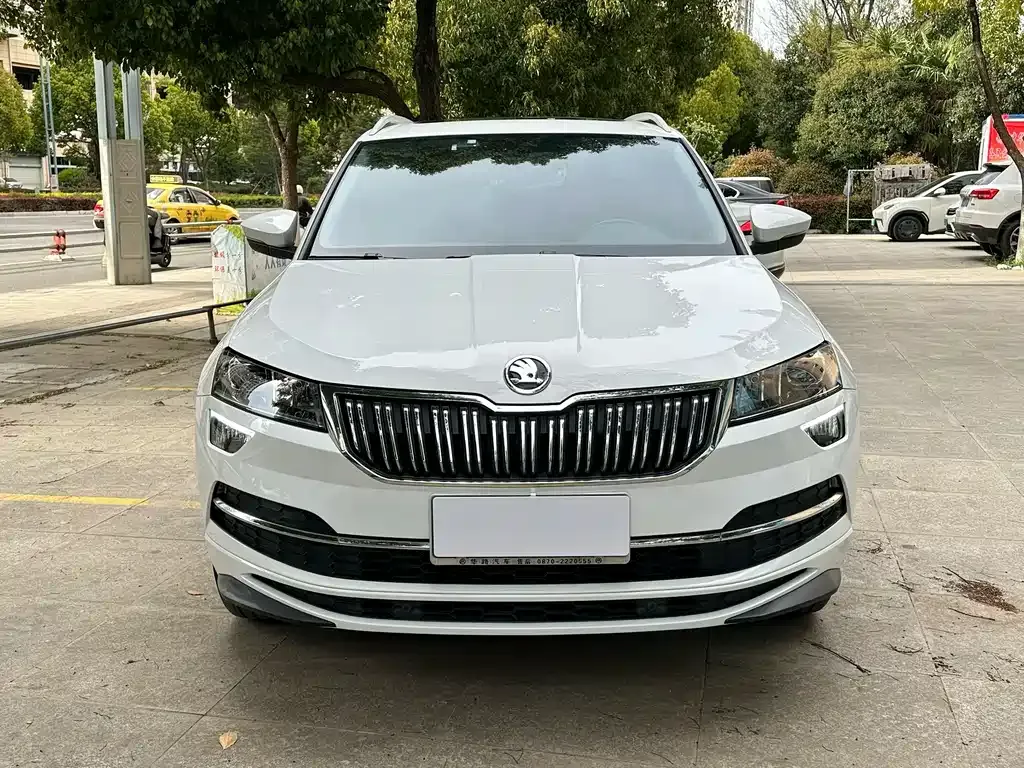 Skoda Karoq 2023 из CN, фото 8