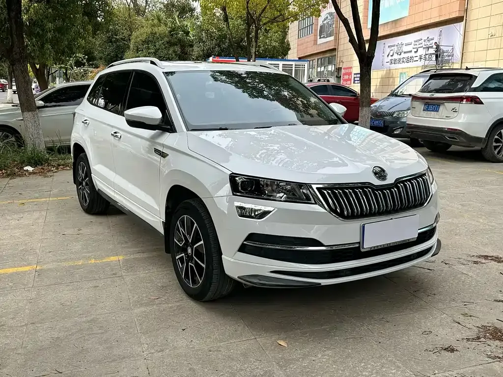 Skoda Karoq 2023 из CN, фото 7