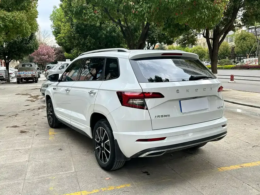 Skoda Karoq 2023 из CN, фото 5