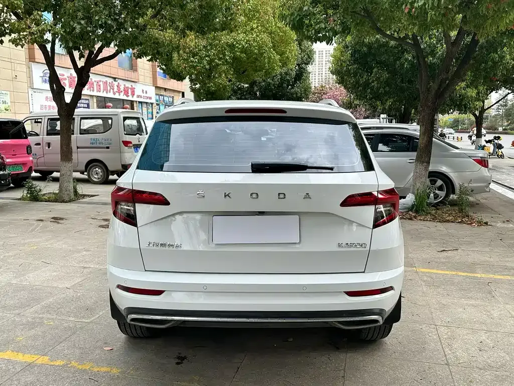 Skoda Karoq 2023 из CN, фото 9