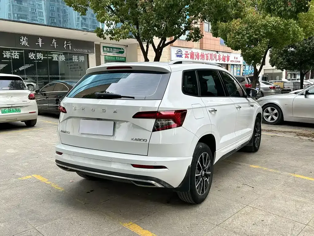 Skoda Karoq 2023 из CN, фото 4