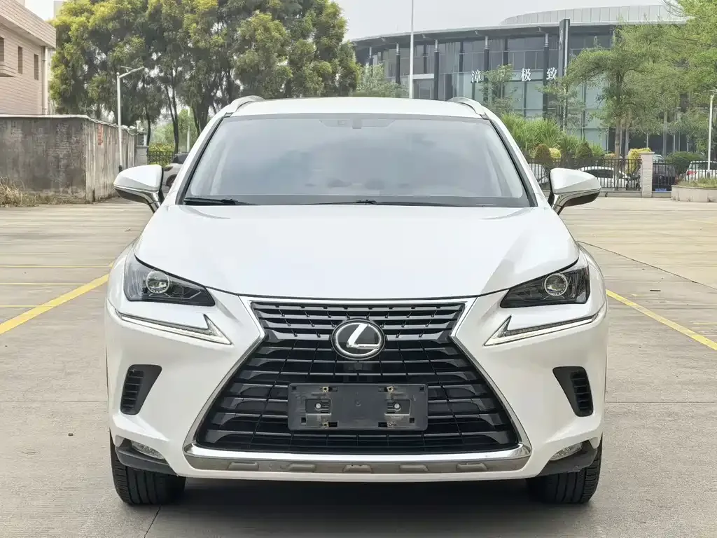 Lexus NX 2021 из CN, фото 9