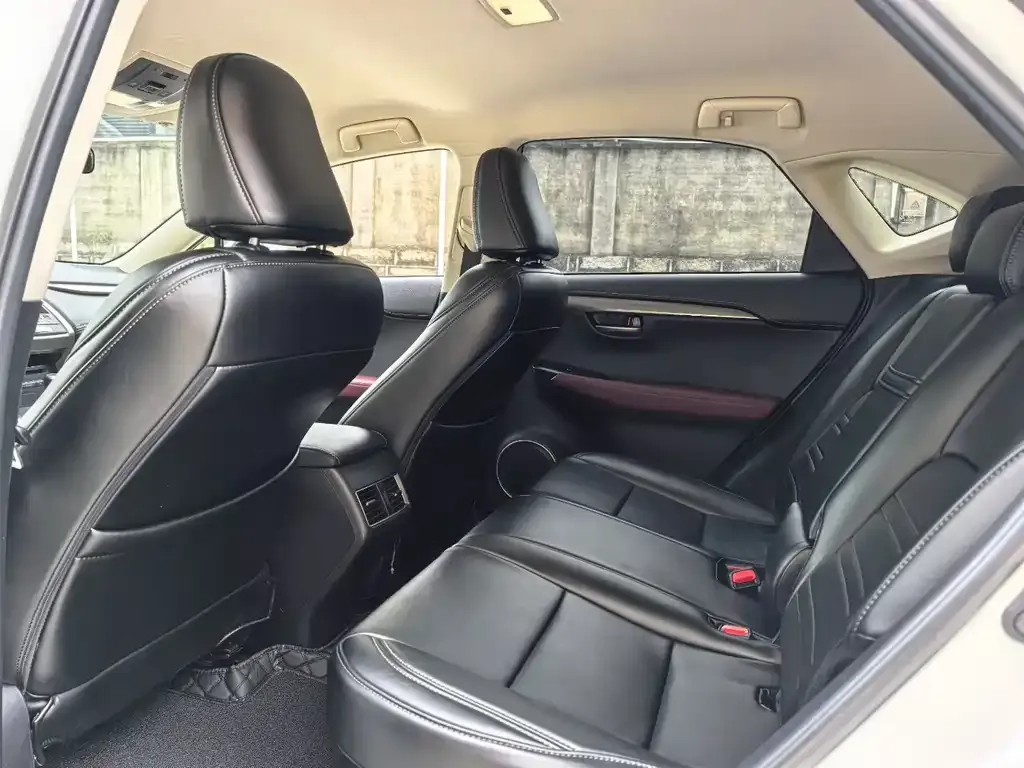 Lexus NX 2021 из CN, фото 6