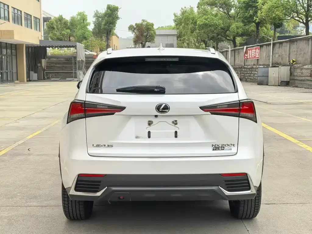 Lexus NX 2021 из CN, фото 7