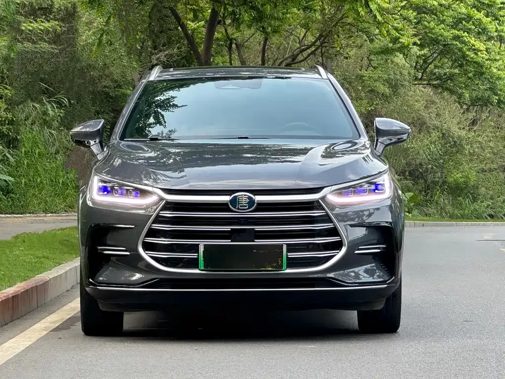 BYD Tang New Energy 2022 из CN, фото 10