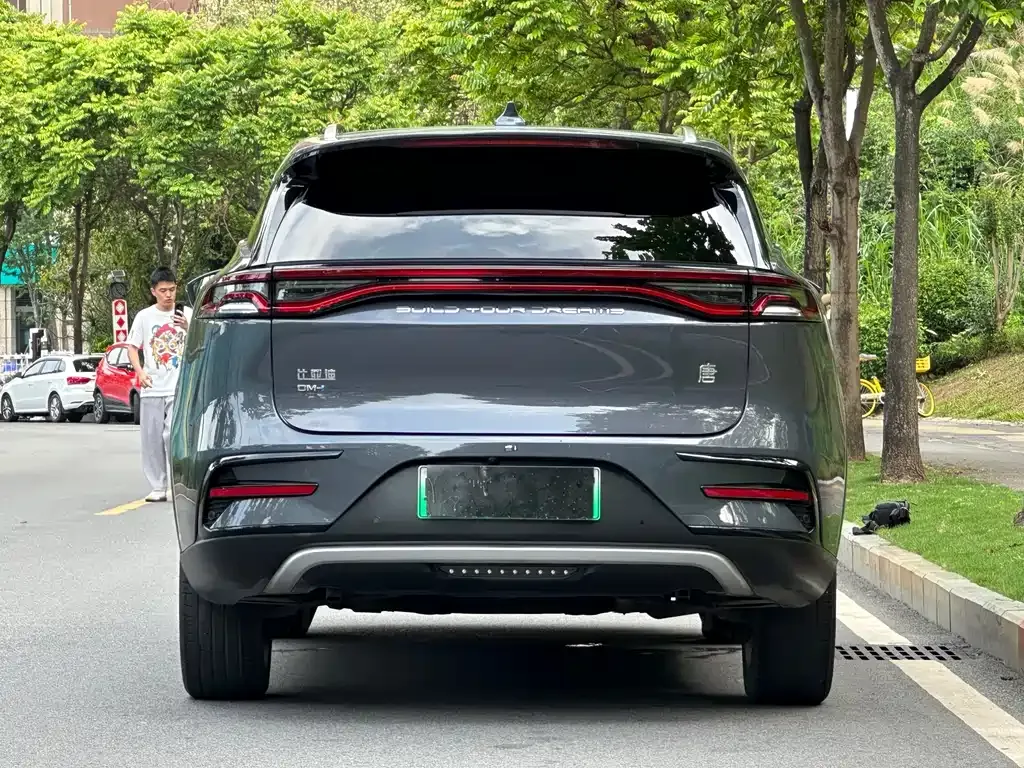 BYD Tang New Energy 2022 из CN, фото 6