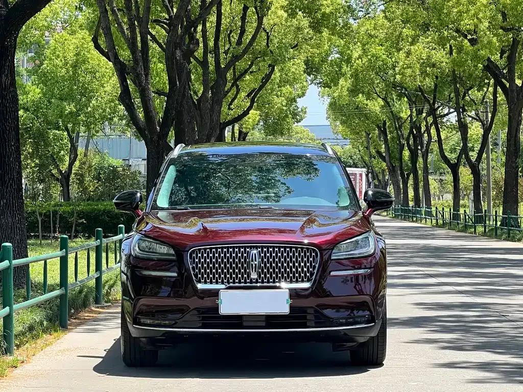 Lincoln Corsair 2021 из CN, фото 4