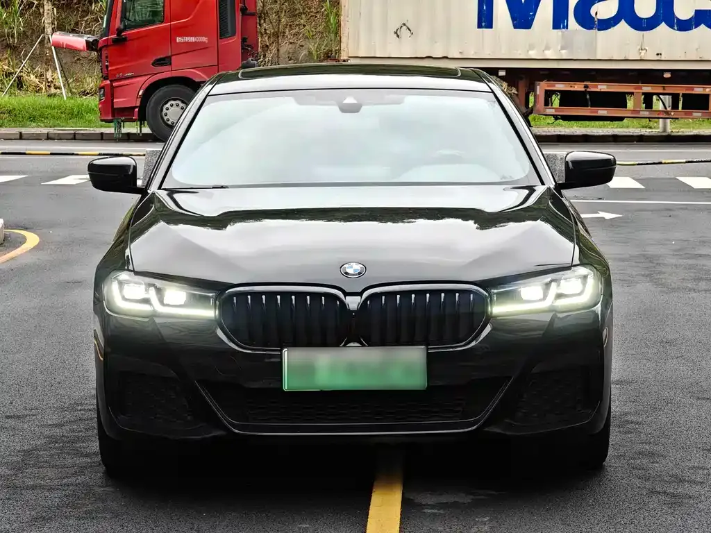 BMW 5 Series New Energy 2021 из CN, фото 4