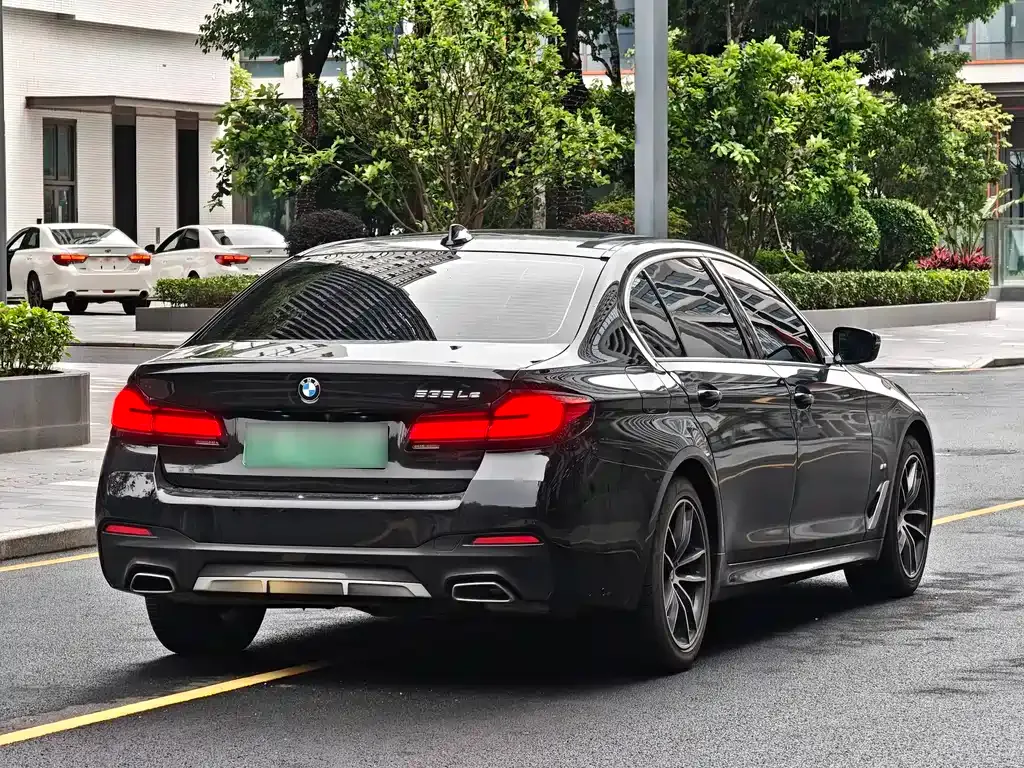BMW 5 Series New Energy 2021 из CN, фото 7