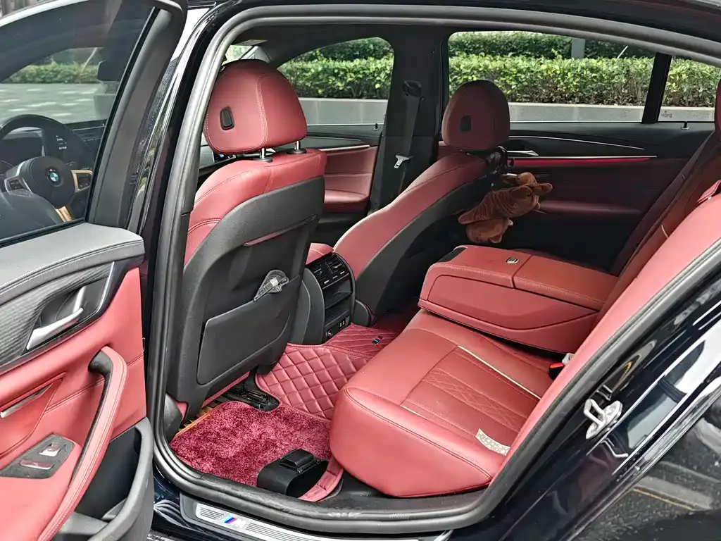 BMW 5 Series New Energy 2021 из CN, фото 8