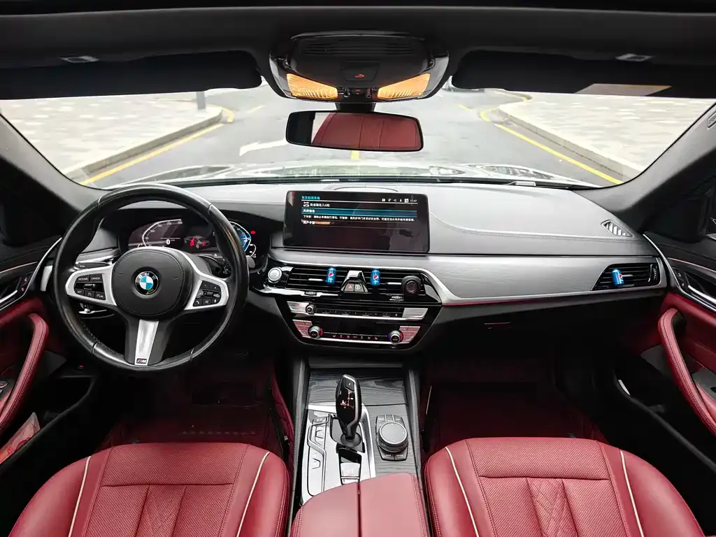 BMW 5 Series New Energy 2021 из CN, фото 3