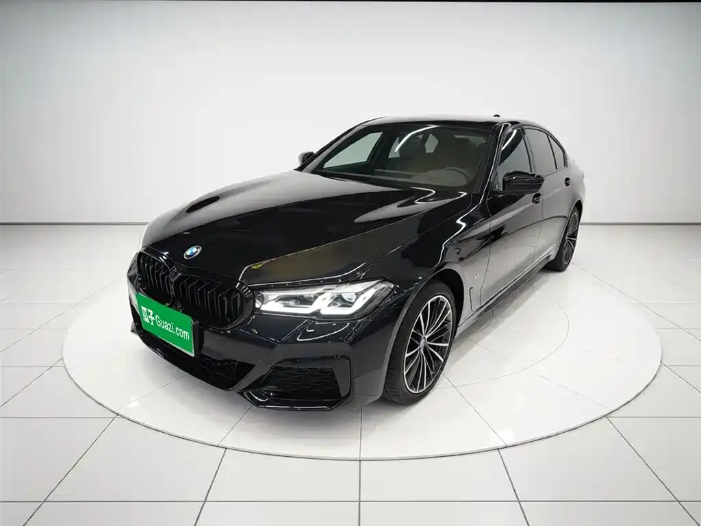 BMW 5 Series 2023 из CN, фото 10