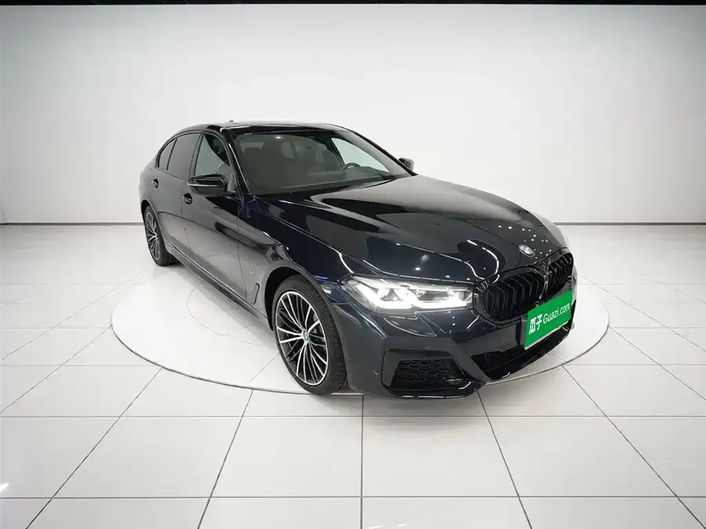 BMW 5 Series 2023 из CN, фото 5