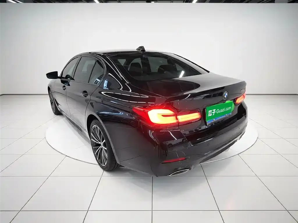 BMW 5 Series 2023 из CN, фото 6