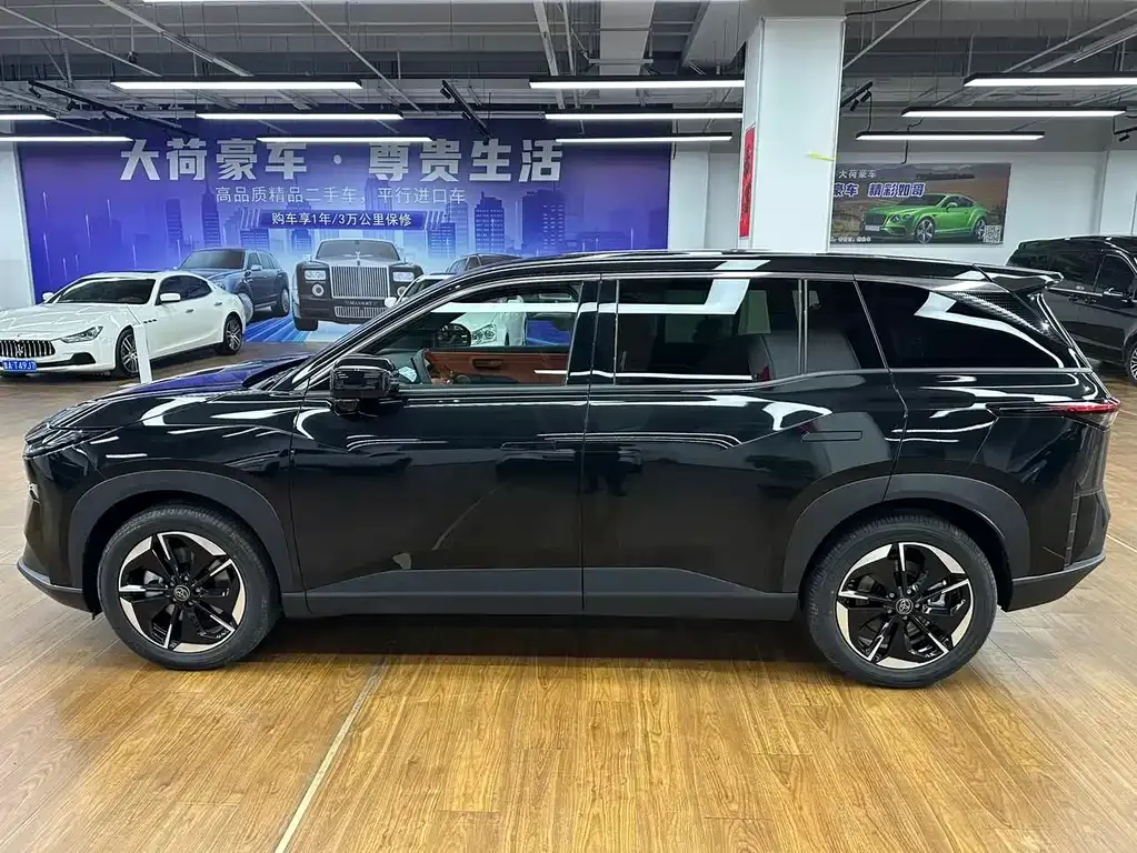 Toyota Platinum 3X 2026 из CN, фото 9
