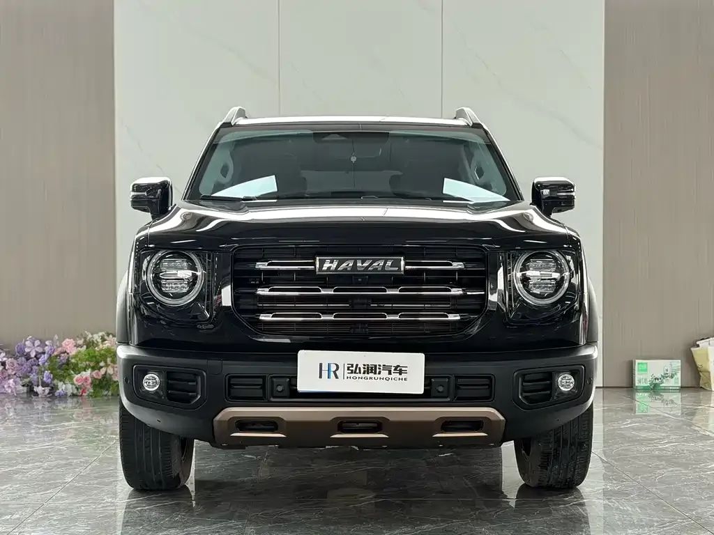 Haval Big Dog 2022 из CN, фото 7