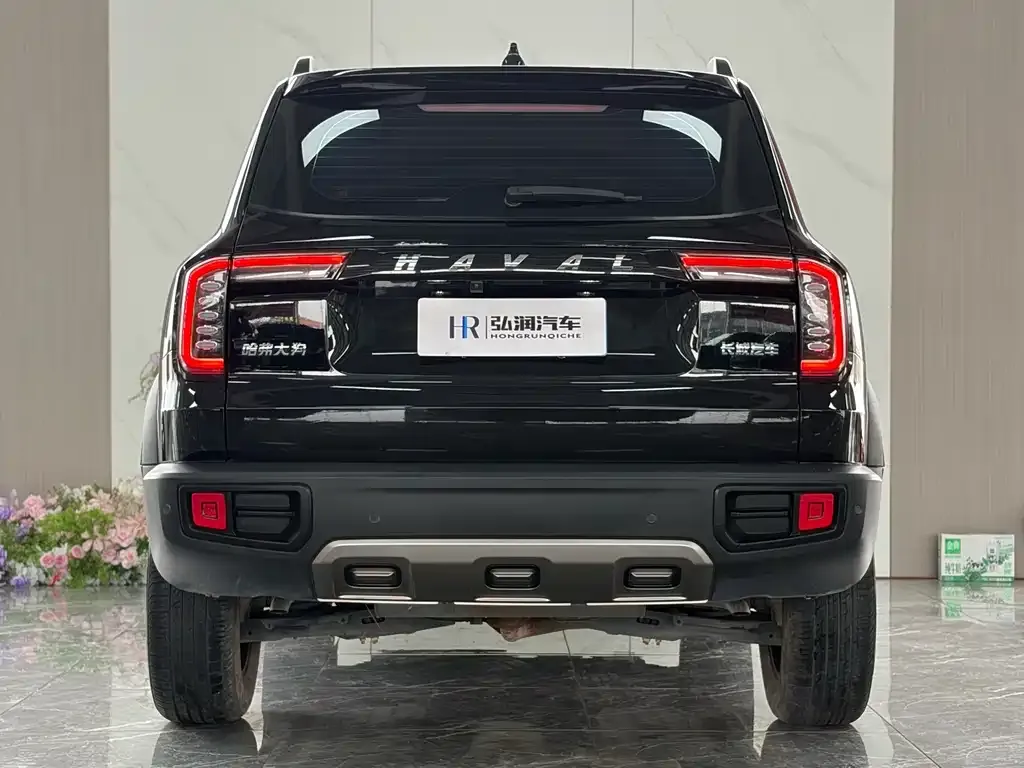 Haval Big Dog 2022 из CN, фото 5