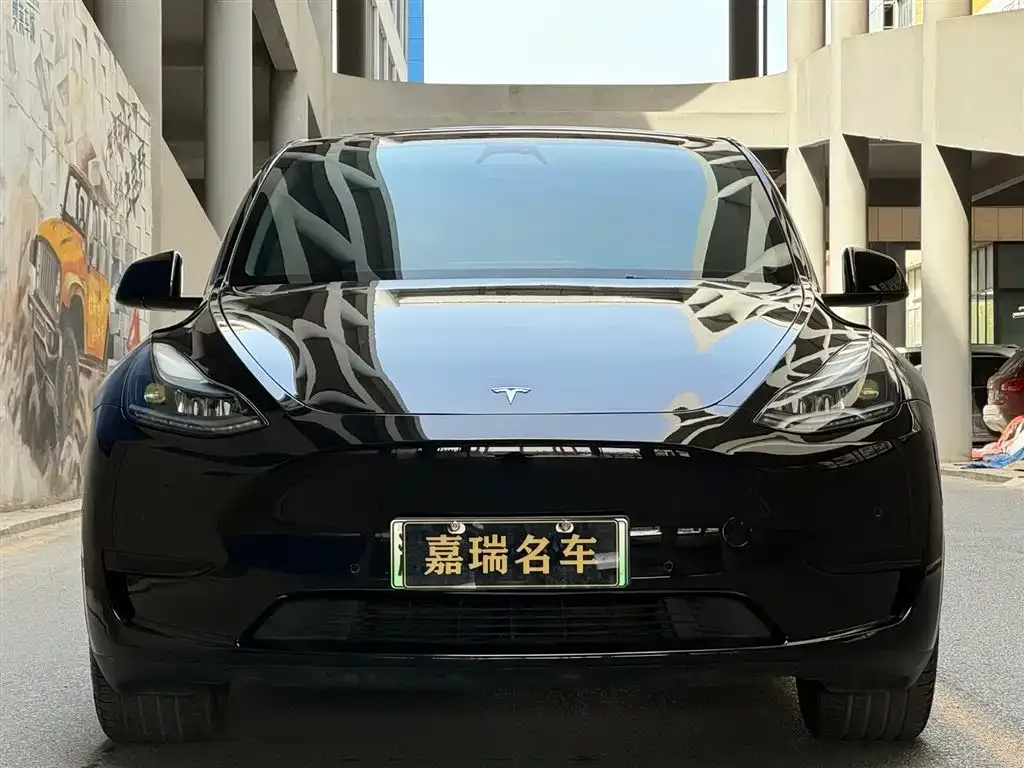 Tesla Model Y — фото 10