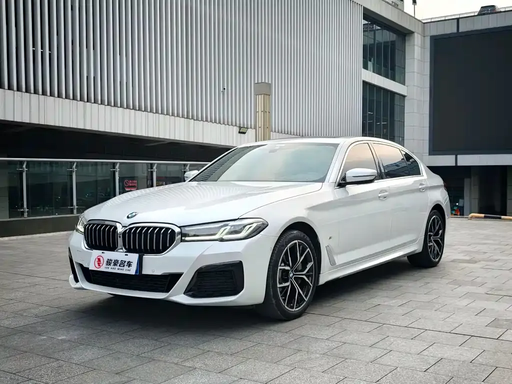 BMW 5 Series 2023 из CN, фото 1